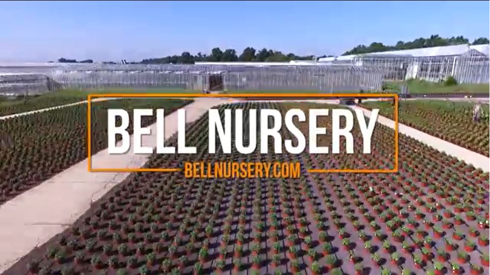 Bell